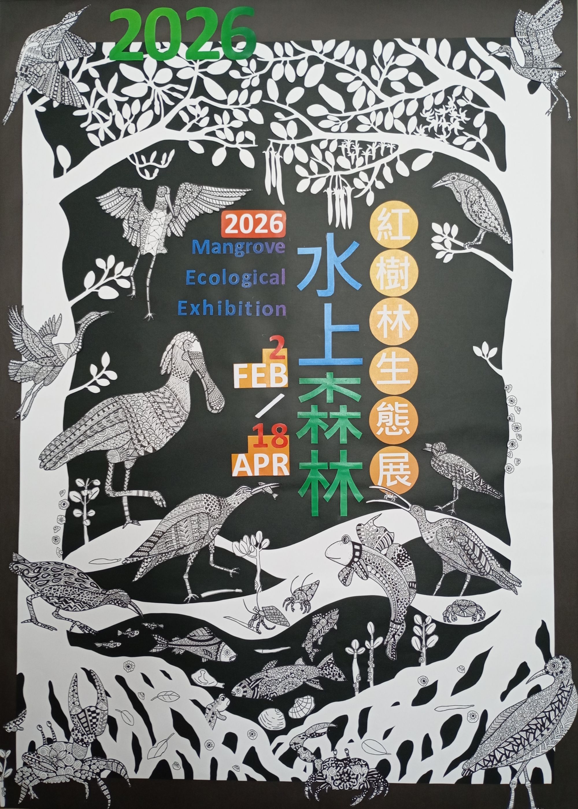 2619謝函芸《紅樹林生態展-水上森林》114全國學生美展初賽平面設計類第三名